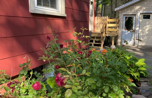 Bangor House | Big Red House - Historic Bangor Home