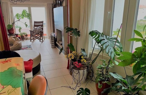 Ericeira Villa | Big sea front villa close to beaches and surf spots