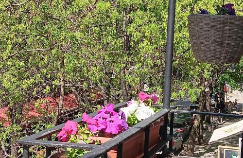 Oborishte Apartment | Bijoux Apt in the heart of Sofia