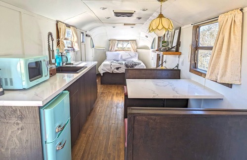 Paso Robles RV Rental | Billie Holiday Trailer - Billie Holiday themed Spartan Trailer On Vineyard