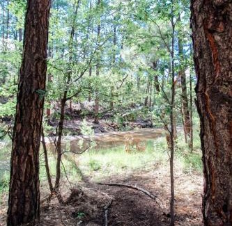 Pinetop-Lakeside House | Billy Creek Luxury Lodge on the creek - Sleeps 18!