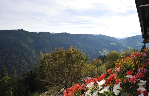 Bischofshofen House | Bio Alpenhof Rostatt