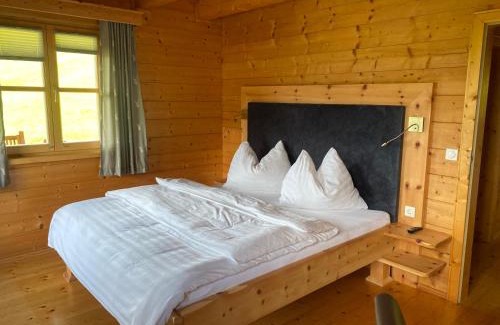 Bischofshofen Apartment | Bio Bauernhof Perneißl Apartment