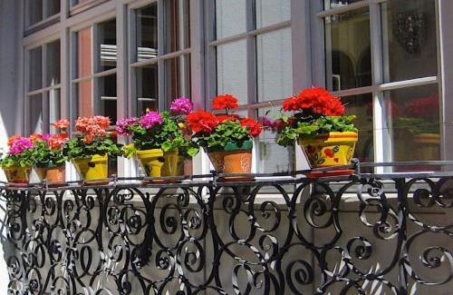 Freiburg im Breisgau Hotel | Bio Boutique Hotel Barbara