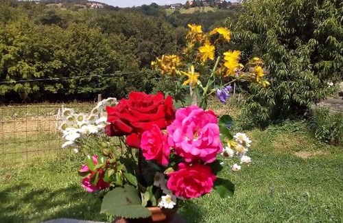 Weichselbaum House | Biohof Koller