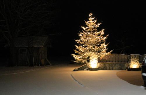 Faistenau Apartment | Biohof Untergrabenbauer