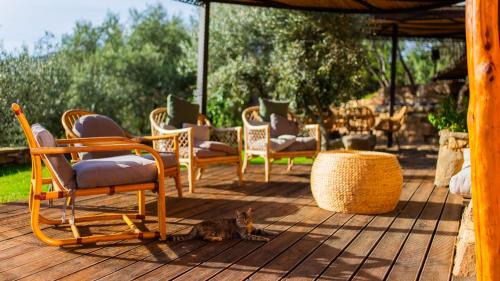 Castiadas House | Bioloco