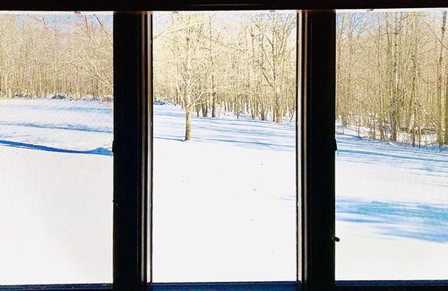 Fleischmanns House | Birch Tree Lodge - Cozy Cabin Getaway in the Catskills