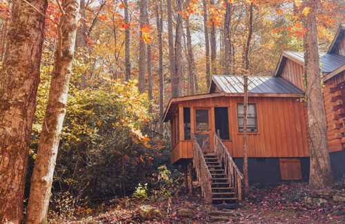Saluda Cabin | Bird's Nest cabin at Cabin Fever in NC!