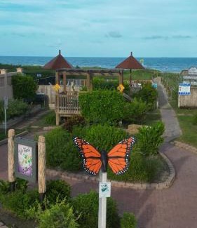 South Padre Island Apartment | Birdies Landing At Butterfly Park Beach Access