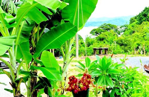 Tatsugo Cabin | Birdland Nature Resort Amami, sauna pool and boat