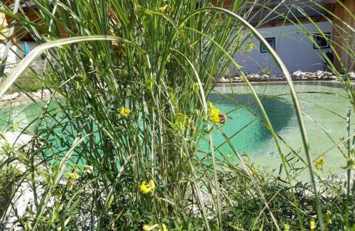 Grossarl House | Birnbaum Chalet Kreuzkogel mit Naturbadesee und eingezäunten Garten