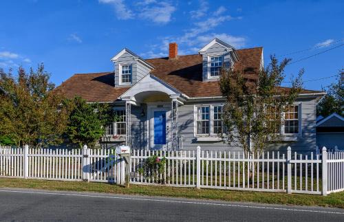 Chincoteague House | Black Skimmer