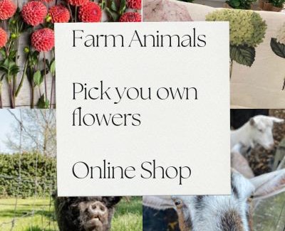 Lincoln House | Blackbird Cottage a Cosy Country Hideaway Near Lincoln University & Local Wedding Venues