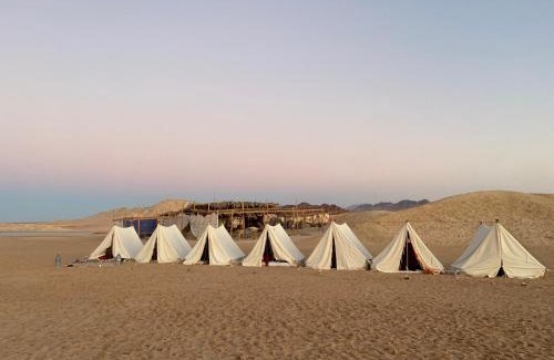 Sharm El Sheikh Other | Blend in Nature Eco Camp Beachfront Stay in Ras Mohamed, Sharm El Sheikh