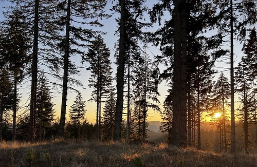 McMinnville Cabin | Blissful Peace w/ Million $ View