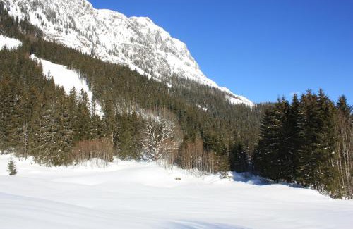 Radmer Ski Chalet | Blockhütte Radmer