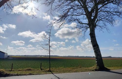 Arnoud Apartment | Blom studio's