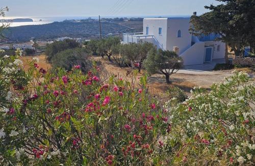 Nea Cryssi Akti Apartment | Blue and White View