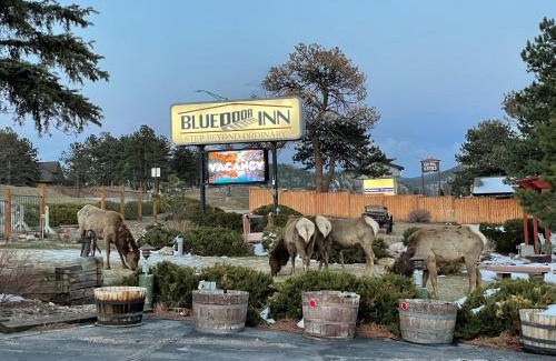 Estes Park Hotel | Blue Door Inn