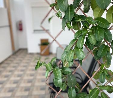 Achlia Apartment | Blue Horizon