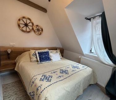 Sighisoara Apartment | Blue House Citadel Sighisoara