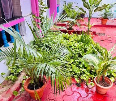 Canacona House | Blue Mirage Palolem Goa