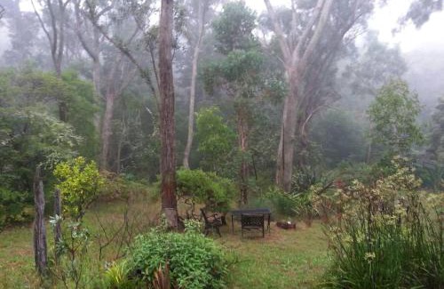 Hazelbrook Apartment | Blue Mountains Ferncreek studio retreat pet friendly