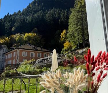 Goeschenen Apartment | Blue Sky Apartments