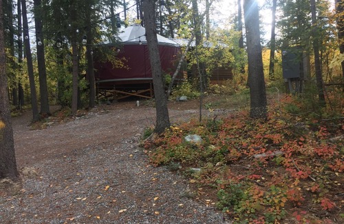 Coram Cabin | Blue yurt, out in the woods! Unplugged, you are out in nature away from it all.