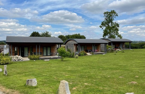 Cannards Grave House | Bluebell