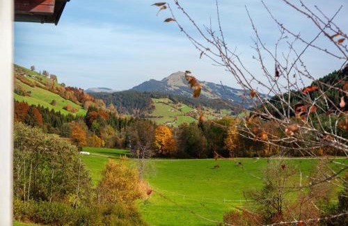 Oberau House | Blueberry Haus Im Moos