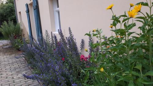 Oberhavel Apartment | Blumenhaus
