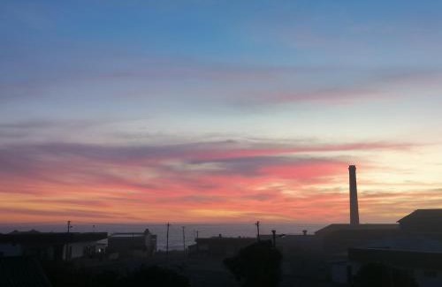 Lambert's Bay Hotel | Bokkomblommetjie
