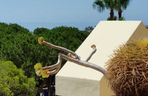 Nikki Beach Apartment | Bonito apartamento con vistas al mar en una de las mejores zonas de Marbella.