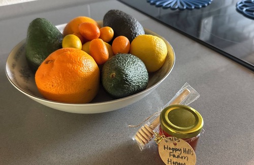 Bonsall House | Bonsall/Oceanside Treehouse Studio - Serene Farmstay with Cozy Balcony
