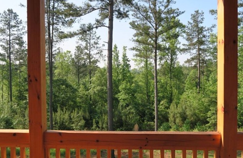 Connellys Springs House | Book now for a spring or summer trip