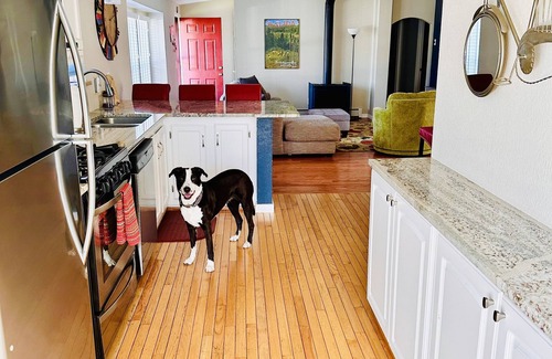 Salida House | Book NOW for Fall Events and Colors! Multi-family, pets allowed, HOT TUB!