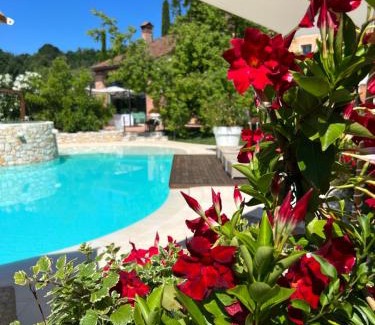 Zugliano Bed & Breakfast | Borghetto San Biagio Relais Agriturismo