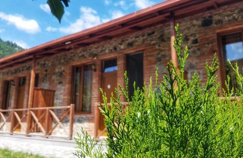 Borjomi House | Borjomi Cottages