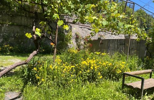 Likani House | Borjomi Makvala's Guest House