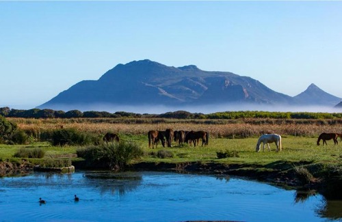Kommetjie House | Born Cottage