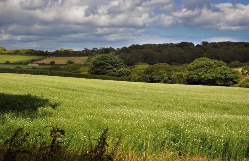 Falmouth House | Bosbenna