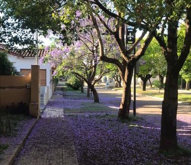 San Antonio de Areco Apartment | Boulevard Alsina 5