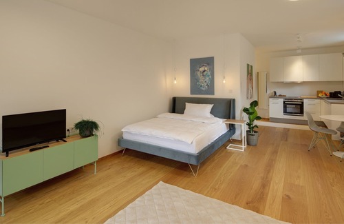 Freiburg im Breisgau Apartment | Boutique Apartments Freiburg - Elsa