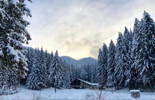 Poiana Brasov House | Boutique Hotel Casa Emil