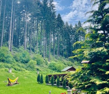 Poiana Brasov House | Boutique Hotel Casa Emil