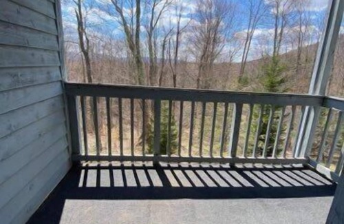 Davis Condo | BR116- Centrally located in Canaan Valley! A/C!