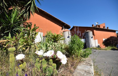 Lake Bracciano Apartment | Bracciano Lake Farmhouse - Apt. Green