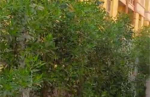 Al Duqqi Apartment | “Brand New Apartment – First Resident!” in Degla Palms-6October- Giza with WiFi